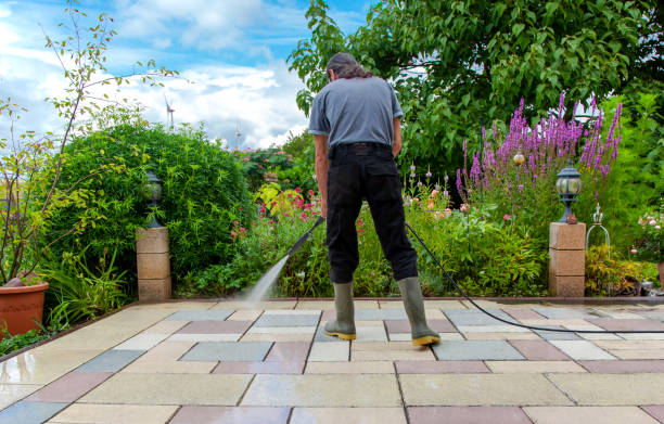Best Soft Washing for Delicate Surfaces in Frewsburg, NY